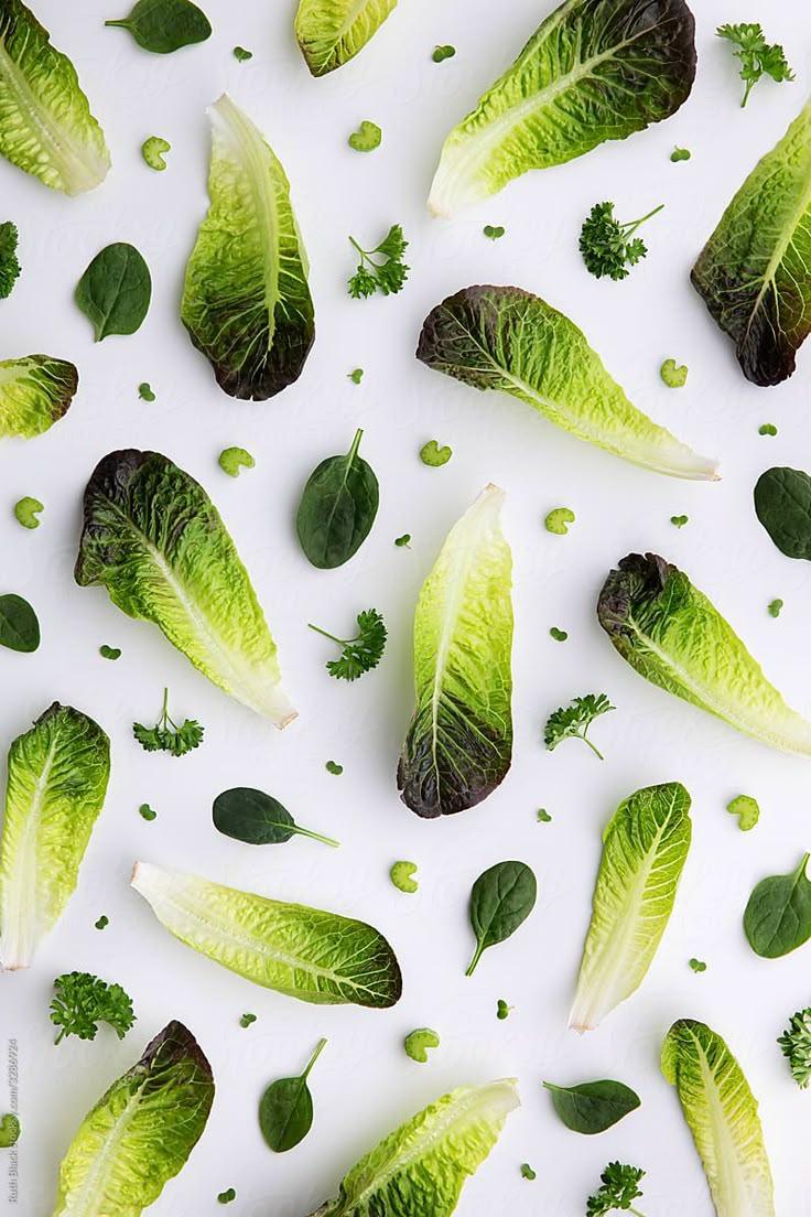 Harvest Medley: Freshness in Every Bite